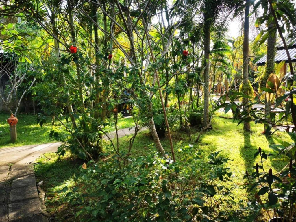Sanook Sanang Resort 象岛 外观 照片
